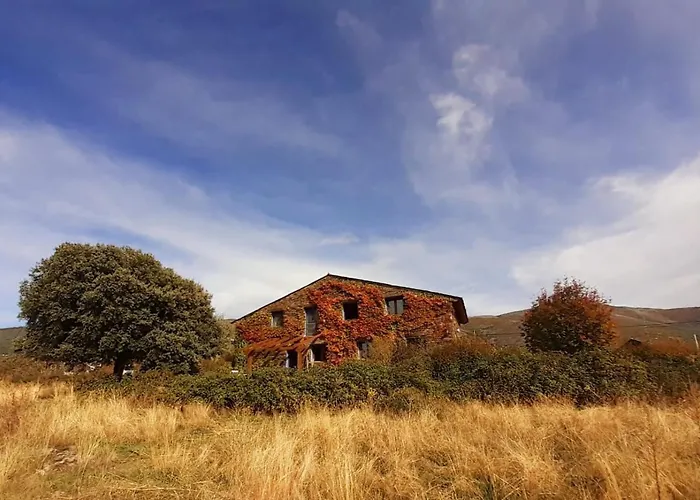 El Cuento De La Encina. Un Espacio Para Sentir